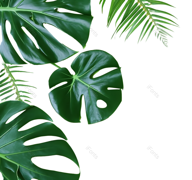 叶子图片,自然元素,绿色背景PNG,植物免抠素材